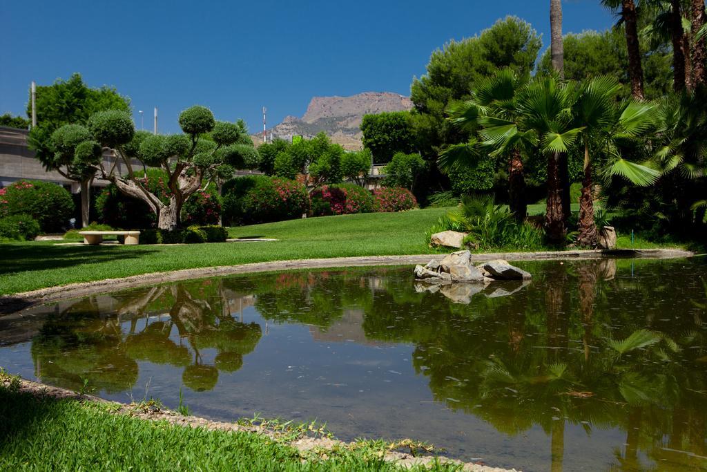 Отель Jardines De Amaltea Лорка Экстерьер фото