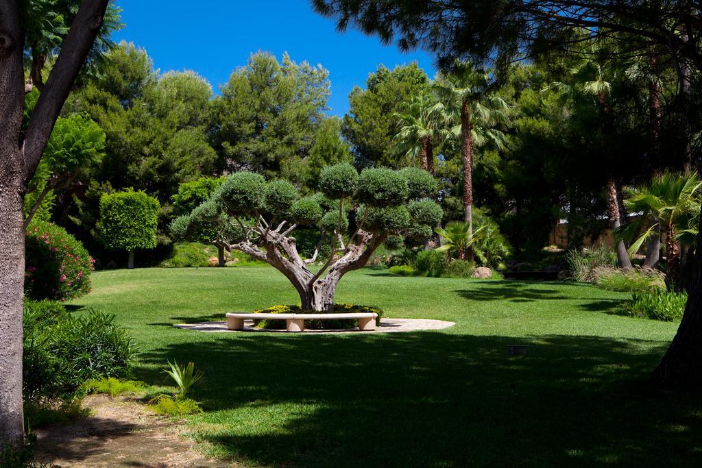 Отель Jardines De Amaltea Лорка Экстерьер фото