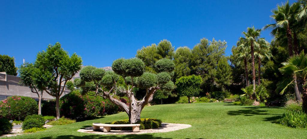 Отель Jardines De Amaltea Лорка Экстерьер фото
