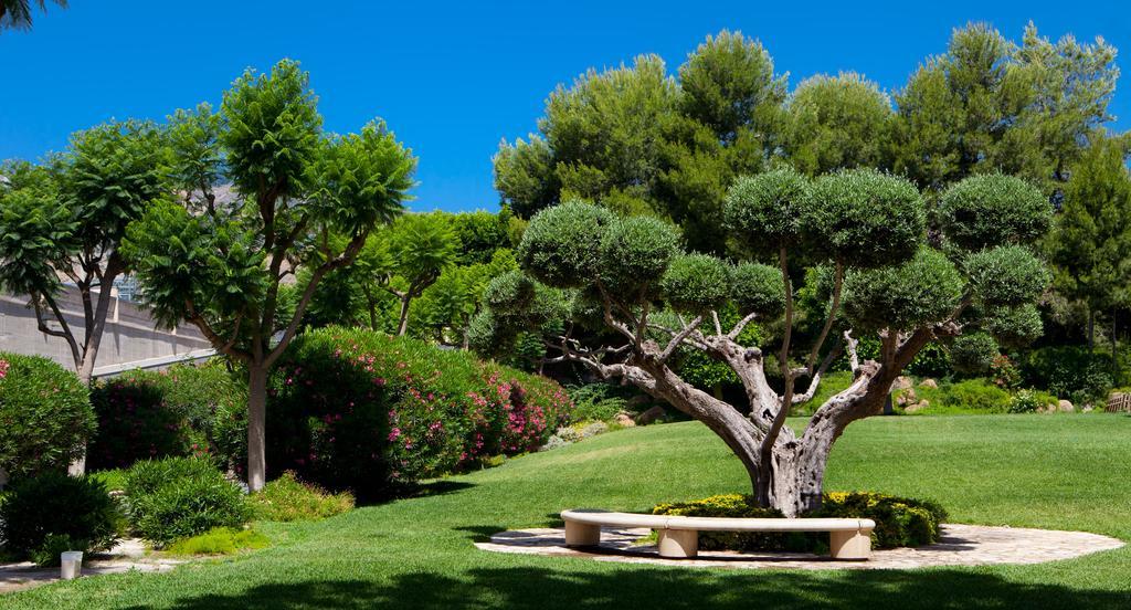 Отель Jardines De Amaltea Лорка Экстерьер фото